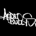 Audio Bullies Breaks DJ-Sets Compilation - Live Performance