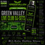 Green Valley in Camboriu Live Club Audio & Video DJ-Sets 128GB USB SPECIAL Compilation (2009 - 2025) - PREMIUM SERVICE - 128GB Portable USB DRIVE