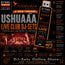 Ushuaia Beach Club in Ibiza DJ-Sets 32GB USB SPECIAL Compilation (2009 - 2026) - PREMIUM SERVICE - 32GB Portable USB-Drive
