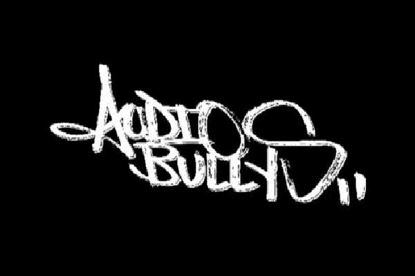 Audio Bullies Live Breaks DJ-Sets Compilation (2003 - 2010)